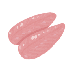 鶏ささみ