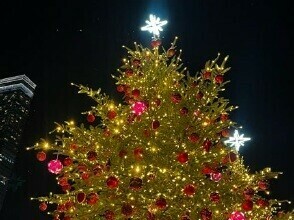 クリスマスツリー